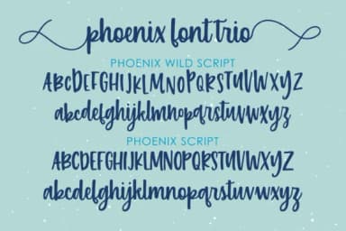 Phoenix Script Trio Font by 212 Fonts — Script Handwritten Font — thumbnail 3