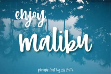 Phoenix Script Trio Font by 212 Fonts — Script Handwritten Font — thumbnail 6