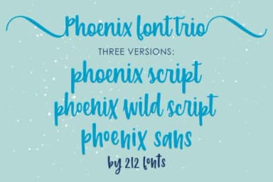Phoenix Script Trio Font by 212 Fonts — Script Handwritten Font — thumbnail 8