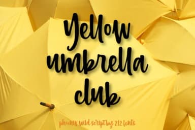 Phoenix Script Trio Font by 212 Fonts — Script Handwritten Font — thumbnail 9