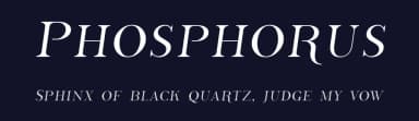 Phosphorus by Apostrophic Labs — Serif Font — thumbnail 2