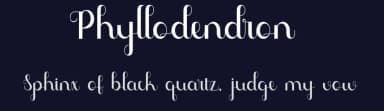 Phyllodendron by Nuryanto Dwi — Script Handwritten Font — thumbnail 2