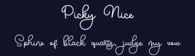 Picky Nice by Bearytype — Script Handwritten Font — thumbnail 2
