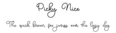 Picky Nice by Bearytype — Script Handwritten Font — thumbnail 1