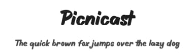 Picnicast by Maulana Creative — Script Handwritten Font — thumbnail 1