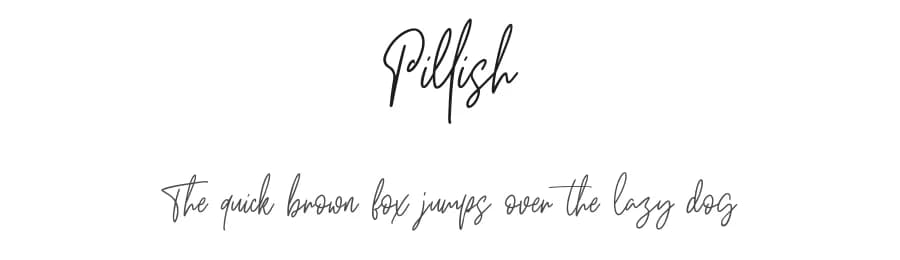 Pillish by Maulana Creative — Script Handwritten Font