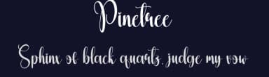 Pinetree by Scratchones — Script Handwritten Font — thumbnail 2