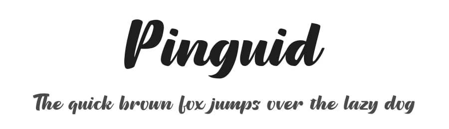 Pinguid by Nur Solikh — Script Handwritten Font