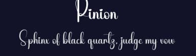 Pinion by Andi Moz — Script Handwritten Font — thumbnail 2