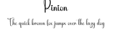Pinion by Andi Moz — Script Handwritten Font — thumbnail 1