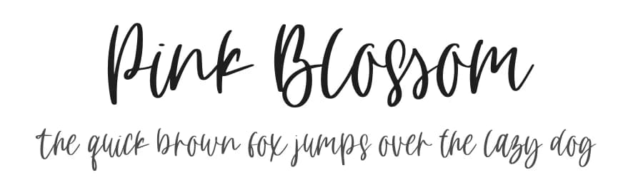 Pink Blossom by NJ Studio — Script Handwritten Font