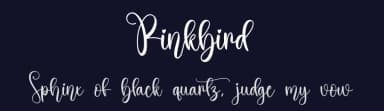 Pinkbird by Scratchones — Script Handwritten Font — thumbnail 2