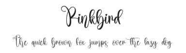 Pinkbird by Scratchones — Script Handwritten Font — thumbnail 1