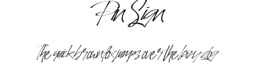 Pin Sign by selawetype — Script Handwritten Font