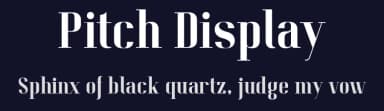 Pitch Display by Kate Wiliwinska — Serif Font — thumbnail 2