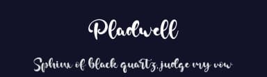 Pladwell by Staircase Studio — Script Handwritten Font — thumbnail 2