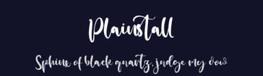 Plainstall by Vztype Studio — Script Handwritten Font — thumbnail 2