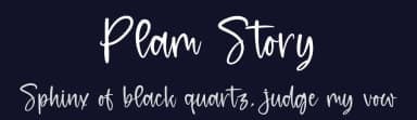 Plam Story by Letterena Studios — Script Handwritten Font — thumbnail 2