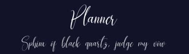 Planner by Scratchones — Script Handwritten Font — thumbnail 2