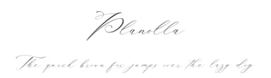 Planolla by Ef Studio — Script Handwritten Font — thumbnail 1