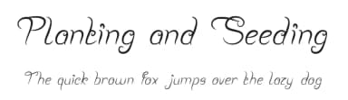 Planting and Seeding by weknow — Script Handwritten Font — thumbnail 1