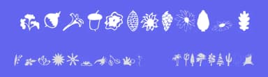 Plants — Dingbats Font — thumbnail 3