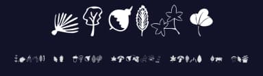 Plants — Dingbats Font — thumbnail 2