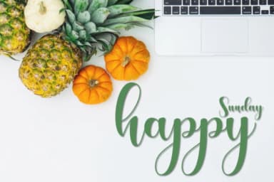 Plug N Play Font by Natural Ink — Script Handwritten Font — thumbnail 5