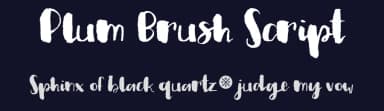 Plum Brush Script by Out of Step Font Company — Script Handwritten Font — thumbnail 2
