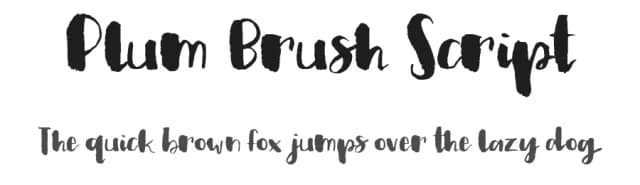 Plum Brush Script by Out of Step Font Company — Script Handwritten Font