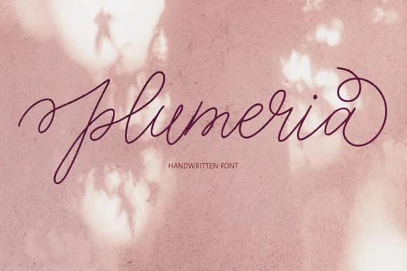 Plumeria Font by Masha Artifex — Script Handwritten Font — preview 1