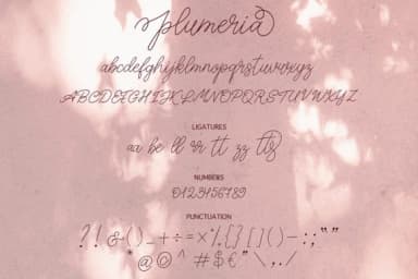 Plumeria Font by Masha Artifex — Script Handwritten Font — thumbnail 8