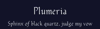 Plumeria by Ava Liu — Serif Font — thumbnail 2