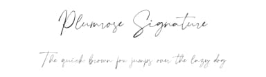 Plumrose Signature by Typetemp Studio — Script Handwritten Font — thumbnail 1
