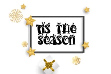 PN Sleigh Serif Holly Font by Illustration Ink — Script Handwritten Font — thumbnail 2