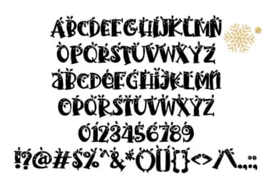 PN Sleigh Serif Holly Font by Illustration Ink — Script Handwritten Font — thumbnail 3