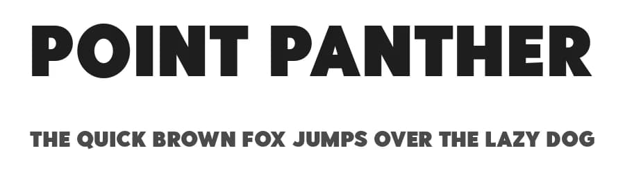Point Panther by Saridezra — Sans Serif Font