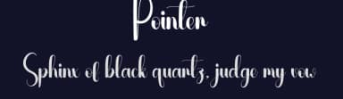 Pointer by Andi Moz — Script Handwritten Font — thumbnail 2
