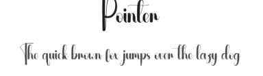 Pointer by Andi Moz — Script Handwritten Font — thumbnail 1