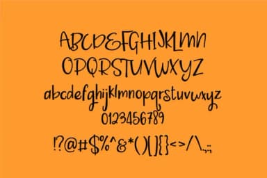 Époisses De Bourbon Font by Illustration Ink — Script Handwritten Font — thumbnail 2