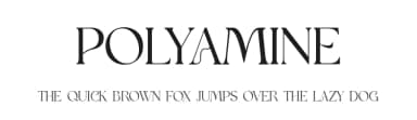 Polyamine by UI Creative — Serif Font — thumbnail 1