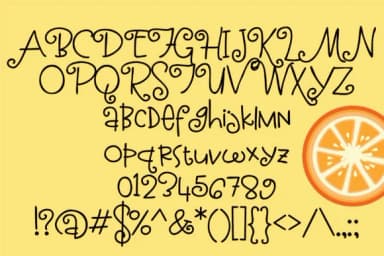 Pomegranate Juice Font by Illustration Ink — Script Handwritten Font — thumbnail 2