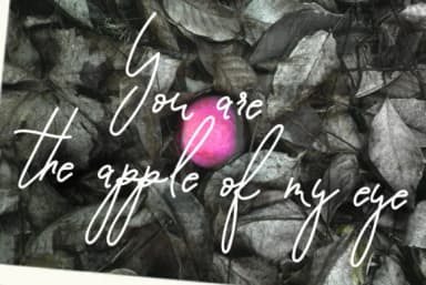 Pomme Noir Font by nantia — Script Handwritten Font — thumbnail 4