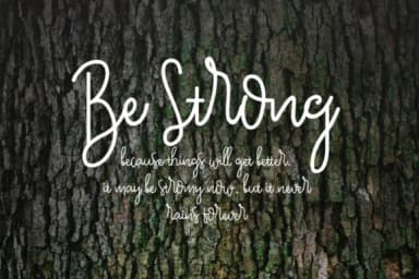 Pour La Vie Font by ndroadvertising — Serif Font — thumbnail 2