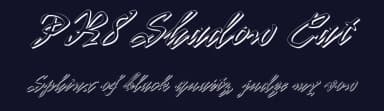 PR8 Shadow Cat by Digital PR8 — Script Handwritten Font — thumbnail 2