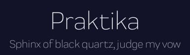 Praktika by Fenotype — Sans Serif Font — thumbnail 2