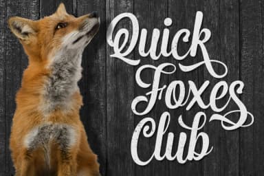 Premier Font by Fontdation — Script Handwritten Font — thumbnail 4