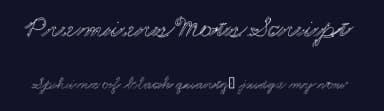 Premiers Mots Script — Script Handwritten Font — thumbnail 2