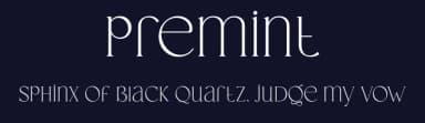 Premint by VampStudio — Serif Font — thumbnail 2