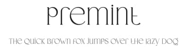 Premint by VampStudio — Serif Font — thumbnail 1